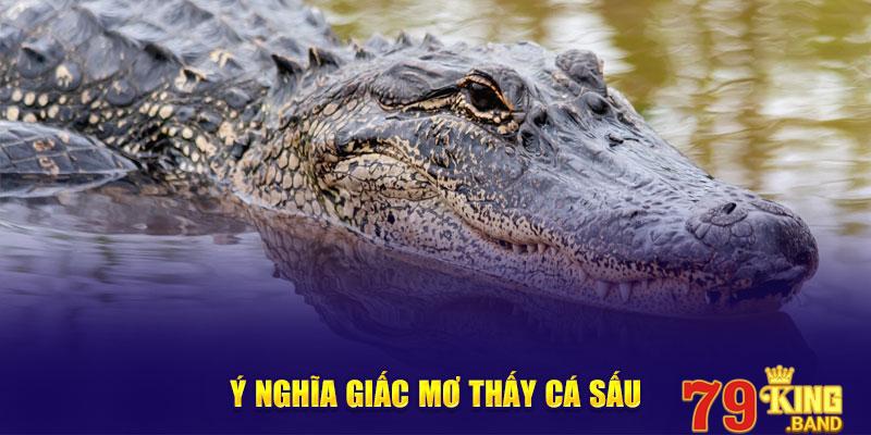 Ý nghĩa giấc mơ thấy cá sấu