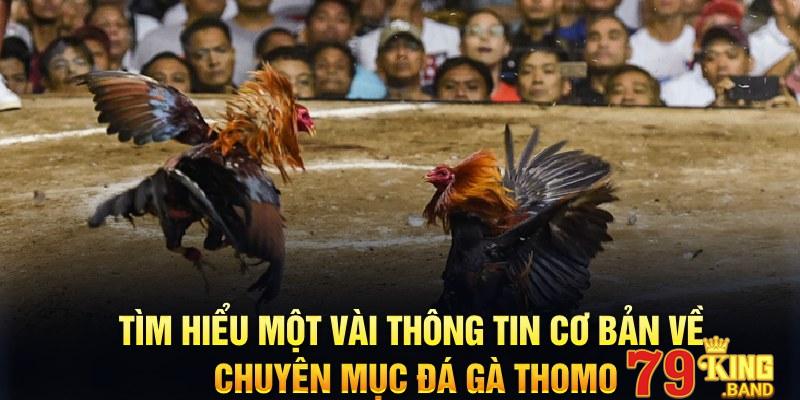 Tìm hiểu một vài thông tin cơ bản về chuyên mục đá gà Thomo